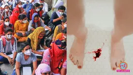 related-article-banner-image