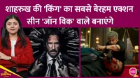 king, shahrukh khan, john wick