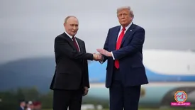 related-article-banner-image