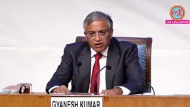 related-article-banner-image