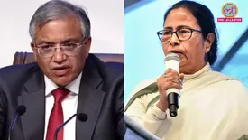 related-article-banner-image