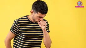 related-article-banner-image