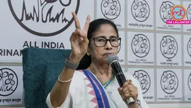 related-article-banner-image