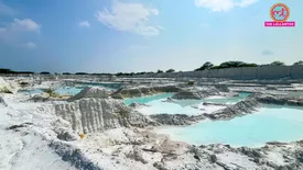 related-article-banner-image