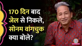 related-article-banner-image