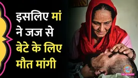 related-article-banner-image