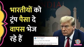 related-article-banner-image