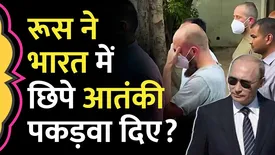 related-article-banner-image