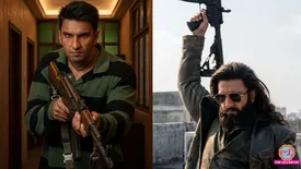 related-article-banner-image