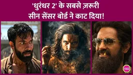 related-article-banner-image