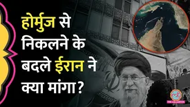 related-article-banner-image