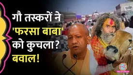 related-article-banner-image