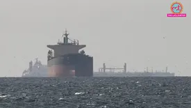 related-article-banner-image