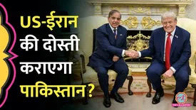 related-article-banner-image