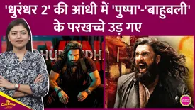 related-article-banner-image