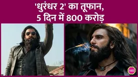 related-article-banner-image