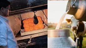 related-article-banner-image