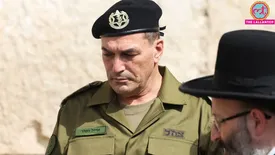 related-article-banner-image