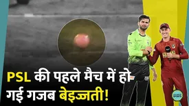 related-article-banner-image