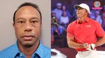 Tiger Woods, Florida crash, rollover accident, golfer injury, Martin County Sheriff,