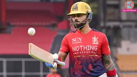 related-article-banner-image