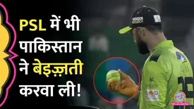 related-article-banner-image