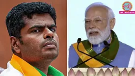 related-article-banner-image