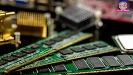 related-article-banner-image