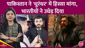 related-article-banner-image