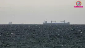 related-article-banner-image