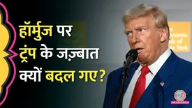 related-article-banner-image