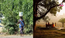 related-article-banner-image