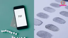 related-article-banner-image