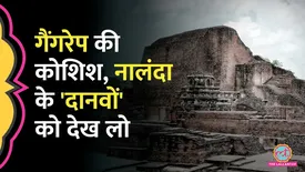 related-article-banner-image