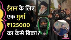 related-article-banner-image