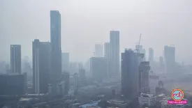 related-article-banner-image