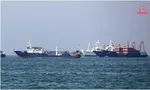 Iran Hormuz Blockade Indian Friends