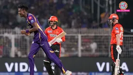 related-article-banner-image