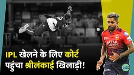 related-article-banner-image