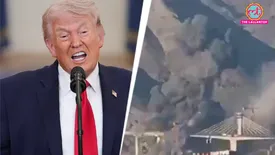 related-article-banner-image