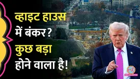 related-article-banner-image