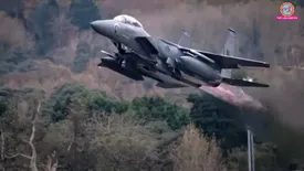 related-article-banner-image