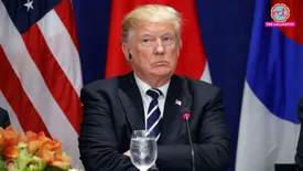 related-article-banner-image