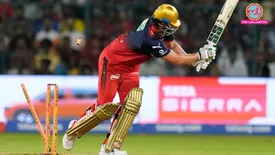 related-article-banner-image