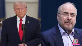 related-article-banner-image