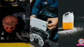 related-article-banner-image