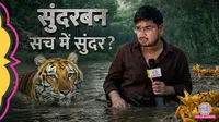 sunderban tiger widwos west bengal election