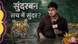 related-article-banner-image