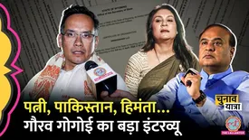 related-article-banner-image