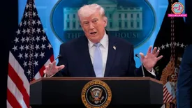 related-article-banner-image